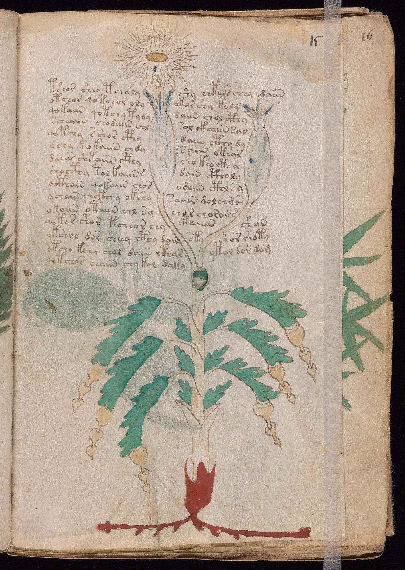 Herbal Page 27